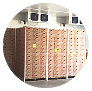 frio-aislantes-soluciones-integrales-en-refrigeracion-en-monterrey-serv1