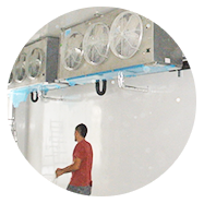 frio-aislantes-soluciones-integrales-en-refrigeracion-en-monterrey-serv7